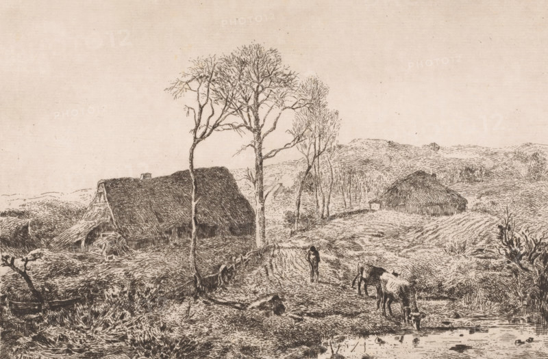 Drinking cow in a landscape with farms, print, printmaker: Lambert Jacquelart, 1830 - 1910, paper, etching, intaglio printmaking technique, height 199 mm x width 296 mm, farm or solitary house in landscape, cow, A sepia-toned landscape drawing showing a path leading between leafless trees toward rolling hills and thatched buildings, with textured lines depicting grass and earth; a person walks along the path and two cows stand near a small pool while a fence runs alongside the path and sparse bushes and reeds appear in the foreground.