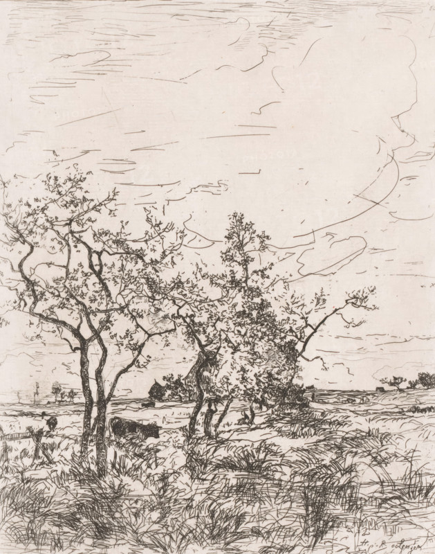 Landscape with cows and a farm, print, printmaker: Hippolyte Emmanuel Boulenger, 1847 - 1874, paper, etching, intaglio printmaking technique, height 248 mm x width 197 mm, farm or solitary house in landscape, cow, A sepia-toned line drawing of a landscape showing a foreground of grasses and low vegetation with irregular, textured strokes. Several slender, leafed trees with twisting trunks rise from the middle ground, their branches forming a lacy canopy. Beyond the trees the terrain opens to a flat plain with distant low vegetation along the horizon. The sky occupies much of the composition and is filled with long, sweeping, horizontal lines and a few larger, outlined cloud shapes. The overall image is composed of fine, sketch-like lines and hatching with varied density to indicate texture and depth.