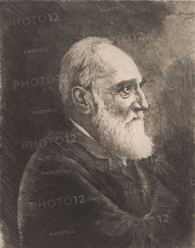 Portrait of an unknown bearded man, print, printmaker: Willem Lamorinière, 1880 - 1911, paper, chine collé, etching, drypoint, intaglio printmaking technique, height 239 mm x width 190 mm, Date of death of printmaker unknown. Therefore, the acquisition date has been used to determine the rights to this object., anonymous historical person portrayed alone, A monochrome etching of an elderly man shown in profile facing right, with a balding head, a full white beard, and detailed facial features including a prominent nose and deep-set eye; he is wearing a dark jacket and shirt, and the background consists of dense crosshatched shading and textured lines that vary in density around the figure.