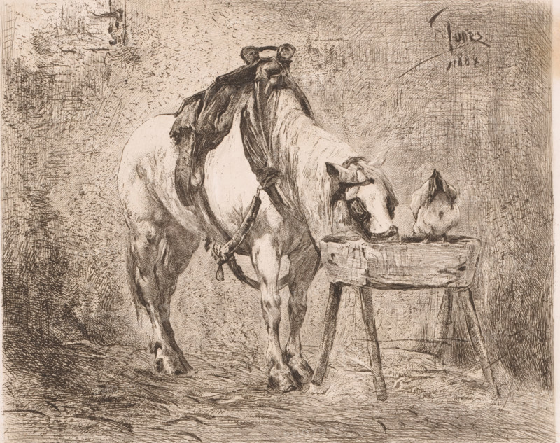 Horse and a chicken at a manger, print, annotation: 'First state', printmaker: Frans Lauwers (signed by artist), after painting by Eugène Joors, 1884, paper, etching, intaglio printmaking technique, height 239 mm x width 317 mm, horse, fowl (cock, hen, chicken, etc.), A detailed monochrome etching shows a horse standing with a saddle draped over its back and harness straps hanging down, its head lowered toward a wooden trough on a simple three-legged stand; a small bird perches on the edge of the trough while the horse appears to be drinking, with finely rendered musculature, mane, and hooves, and the background filled with dense cross-hatched textures and sketch-like marks creating a rough wall and ground surface.
