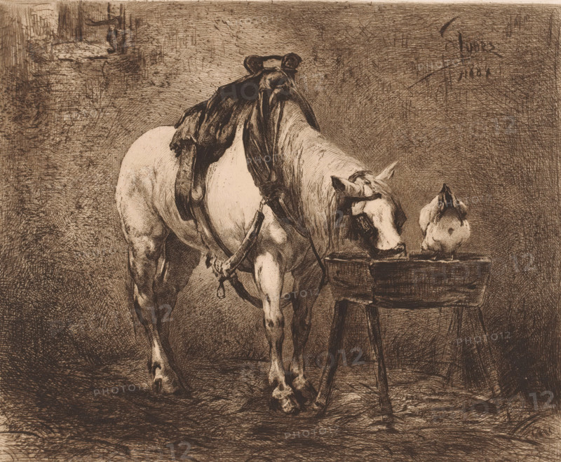 Horse and a chicken at a feeding trough, print, workshop stamp: 'Antwerpsche Etsers 1880', printmaker: Frans Lauwers (signed by artist), after painting by Eugène Joors, 1884, paper, etching, drypoint, intaglio printmaking technique, height 239 mm x width 317 mm, horse, fowl (cock, hen, chicken, etc.), A horse stands with a saddle and harness on its back, its head lowered toward a wooden trough; a chicken stands on the trough facing upward, and the scene is rendered in detailed, crosshatched sepia tones with a textured background and a small indistinct window or opening in the upper left.