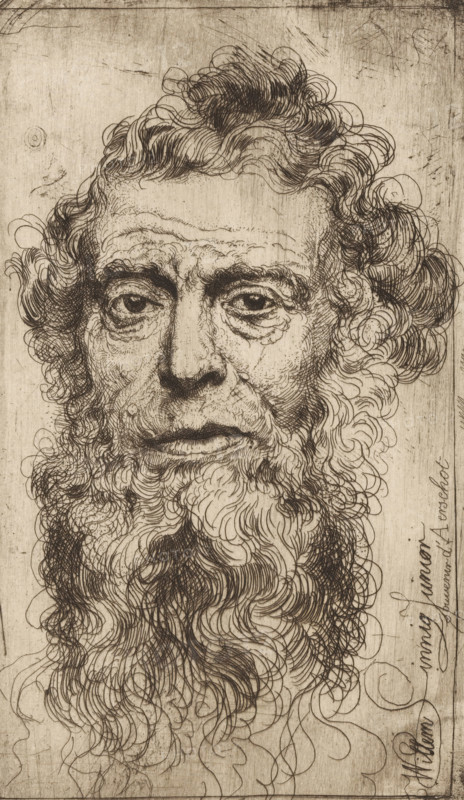 Souvenir d'Aerschot, Portrait of an unknown bearded man, print, printmaker: Willem Linnig (II), 1852 - 1890, Willem Linnig (II), printmaker, paper, etching, intaglio printmaking technique, height 173 mm x width 101 mm, anonymous historical person portrayed alone, An engraved portrait of an elderly man filling the frame, rendered in fine dark lines on a light textured background; his face shows deep-set eyes with heavy lids, prominent brow lines, a long nose, and a closed mouth with slightly downturned lips, all marked by intricate hatching and stippling; a full, curly beard flows from his cheeks and chin with swirling, overlapping strokes that extend downward into loose, ribbonlike curls; his hair is curly and receding at the temples, gathered into a loose top knot with detailed linework; the background has a worn, scratched appearance and faint borders, and there are slender flowing pen strokes and small signatures or marks along the right edge of the image.