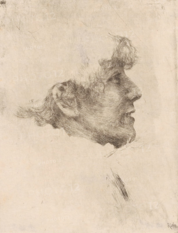 Portrait of Sarah Bernhardt, print, printmaker: Philip Zilcken, after photo by anonymous, 1867 - 1890, paper, etching, intaglio printmaking technique, height 189 mm x width 146 mm, Person, Sarah Bernhardt, historical persons, A sepia-toned sketch shows a profile of a person's head facing right, rendered with fine, wispy lines that form textured hair, an ear, forehead, nose, mouth, and chin, with loose, sketchy strokes suggesting neck and shoulder area and faint smudges and stray marks on the surrounding blank paper.