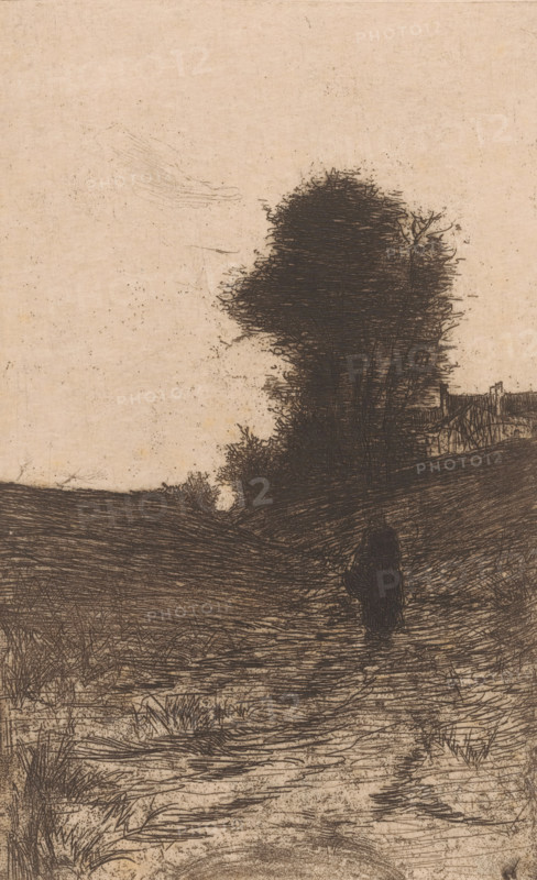 Landscape with trees, houses and walking figure, Soir a Etterbeek (Bruxelles) (original title), print, printmaker: Philip Zilcken (signed by artist), 1867 - 1890, paper, etching, drypoint, intaglio printmaking technique, zinc etching and drypoint, with plate tone, height 232 mm x width 148 mm, low hill country, walking, Etterbeek, A textured sepia background with dark, sketch-like lines forms a landscape scene featuring a winding dirt path flanked by grasses and low vegetation, leading toward a sloping hill where a tall, dense tree with tangled branches and leaves dominates the middle ground; a solitary dark figure stands on the path facing away, and a simple fence and a small cluster of rough structures sit partially obscured near the hilltop, while faint cloudlike markings appear in the sky.