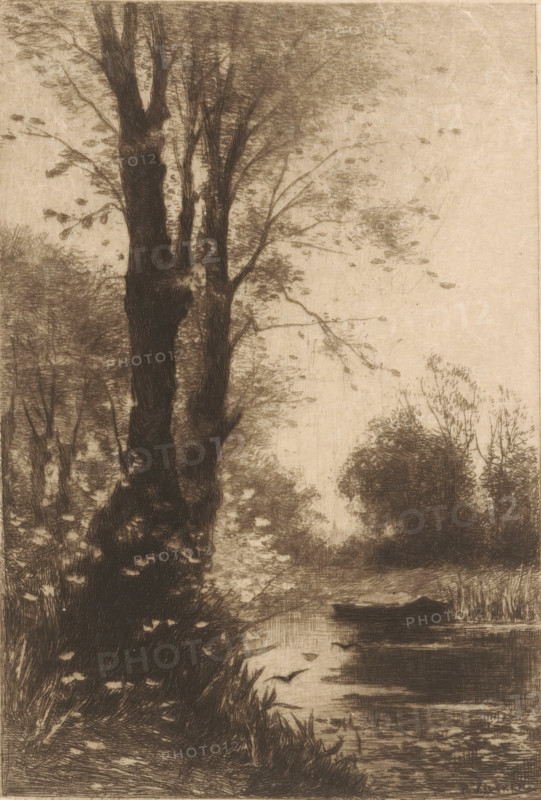 Autumn morning (original title), Trees on the water, print, printmaker: Philip Zilcken, 1867 - 1890, paper, etching, drypoint, intaglio printmaking technique, height 178 mm x width 122 mm, steps, pound, pole, A tall dark tree trunk rises at the left with textured bark and branches extending upward and outward, surrounded by dense foliage and lighter, feathery leaves; a narrow body of water runs from the foreground toward the background on the right, reflecting darker ripples and bordered by reeds and grasses; a small boat rests on the water near the center right, silhouetted against the surface; distant clusters of trees and shrubs form a soft, hazy background, and scattered leaves appear to float in the air and on the ground.