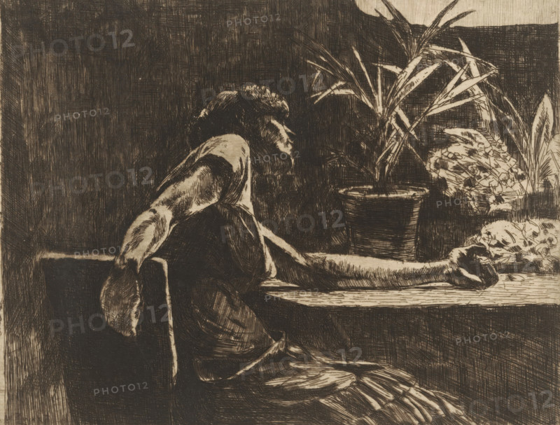 Woman at a table with flowers (original title), print, printmaker: Willem de Zwart, c. 1888 - c. 1890, paper, etching, drypoint, intaglio printmaking technique, height 151 mm x width 199 mm, Print appeared in 1892 as part of the annual publication of the 'Portefeuille der Nederlandsche Etsclub'., flowers, interior of the house, sitting figure - AA - female human figure, A monochrome etching of a seated woman leaning on a table with one arm extended across the surface, her head turned slightly and resting on her hand, wearing a dress with visible folds and a tied scarf at the back, a potted plant with long leaves and another flowering plant on the table beside her, textured crosshatched shading filling the background and defining the figures and objects.