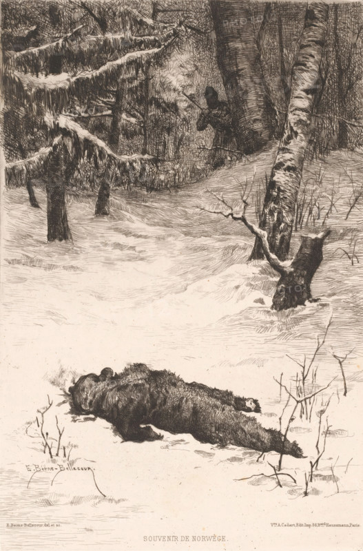 Hunter in the snow with shot bear, Souvenir de Norwège., print, printmaker: Etienne Prosper Berne-Bellecour, France, publisher: widow Alfred Cadart, Paris, 1845, c. 1879 - c. 1882, paper, etching, drypoint, intaglio printmaking technique, height 278 mm x width 186 mm, forest, wood, snow, beasts of prey, predatory animals: bear, hunt, mammals, A monochrome scene of a snowy forest with tall trees and low branches laden with snow, showing a fallen animal lying on the snow in the foreground and a second animal slumped nearby, with sparse leafless twigs and grasses poking through the snow around them, and a figure partially hidden among the trees in the background holding a long object, all rendered in fine cross-hatched lines.