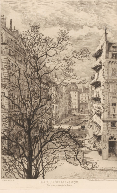 View of the Rue de la Banque, print, printmaker: Alfred Taiée, Paris, publisher: Alfred Cadart, 1878-02, paper, etching, intaglio printmaking technique, height 287 mm x width 216 mm, city-view in general, 'veduta', street, A detailed sepia-toned etching shows a narrow city street lined with tall, multi-story buildings on both sides and a large leafless tree with intricate branches filling the foreground; the buildings display rows of windows, balconies with railings, projecting awnings, and decorative façades, and a few small human figures appear on balconies and near windows; the street recedes toward a distant cluster of buildings beneath a sky rendered with layered, horizontal strokes suggesting clouds, and the scene includes shadows and fine linear textures across architecture, tree bark, and pavement.