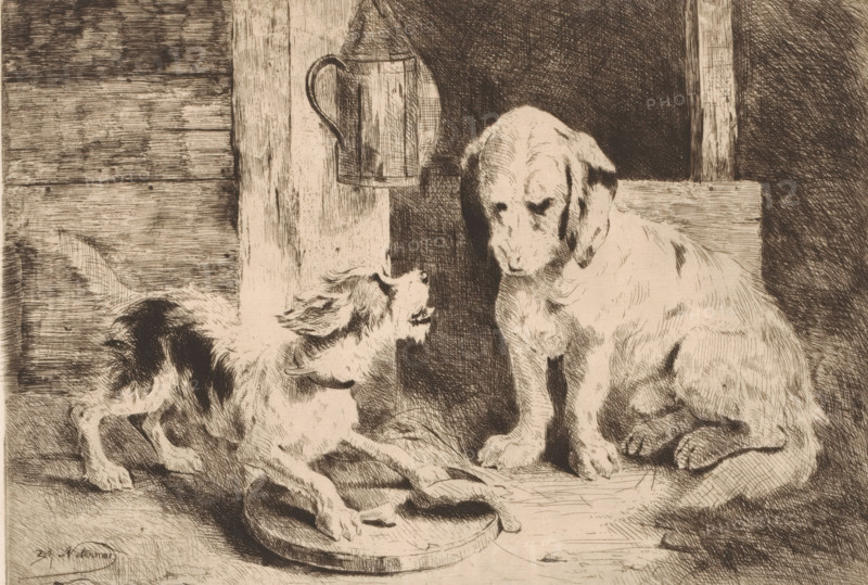 Two dogs by a lantern and a plate of food, print, printmaker: Zacharie Noterman, 1830 - 1890, paper, etching, intaglio printmaking technique, height 180 mm x width 259 mm, dog, lantern, A sketch in muted tones shows two dogs on a wooden floor by a rough plank wall and a dark background; one dog sits with a downward gaze and drooping ears, its body shaded with crosshatching, while the other dog stands with its mouth open toward the seated dog, its fur rendered in lively strokes and its tail raised; a metal pitcher hangs on the wall between them and a shallow dish lies on the floor near the standing dog.