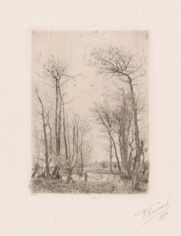 Landscape with fishermen on the water, print, printmaker: F. Rassart, 1895, paper, etching, intaglio printmaking technique, drypoint, height 171 mm x width 126 mm, landscapes with waters, waterscapes, seascapes (in the temperate zone), fishing (sports), A vertical drawing of a wooded scene framed by a faint rectangular border, showing tall, leafless trees with intricate branching extending upward and a few small birds in the sky area. In the lower area there is a small body of water reflecting nearby trunks, with a solitary figure standing at the water's edge. Dense undergrowth and clustered tree trunks fill the foreground, and a suggestion of distant landscape appears between the trees. The image is rendered in fine, delicate lines on a pale background.