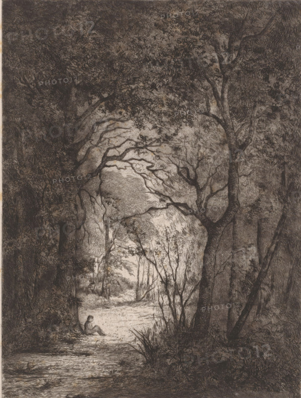 Man resting in a clearing in a forest, print, printmaker: Emilie Rolin-Jacquemijns (signed by artist), 1852 - 1906, paper, chine collé, etching, intaglio printmaking technique, retroussage, height 318 mm x width 239 mm, adult man, forest, wood, resting - BB - out of doors, A detailed monochrome etching of a wooded scene with dense foliage and tall trees forming a shaded archway leading to a lighter clearing, twisting branches and textured bark filling the upper and side areas, a narrow path or stream running toward the foreground, grasses and undergrowth along the edges, and a solitary seated figure near the shaded edge facing the illuminated opening.