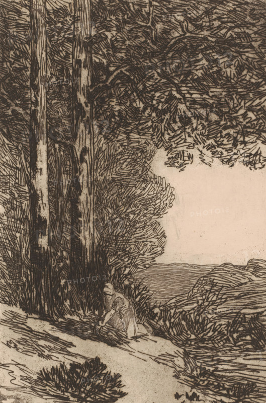 Forest landscape with gleaner, La bucheronne, Grand paysage Brabançon, Cahier d'études eau-fortes originales et inédites, print, printmaker: Félicien Rops, printmaker: Louis Dubois, publisher: Félix Callewaert (père), Brussels, 1874, Félicien Rops, Louis Dubois, Félix Callewaert (père), printmaker, publisher, paper, etching, drypoint, intaglio printmaking technique, height 287 mm x width 190 mm, A detailed ink drawing of a natural scene showing tall, textured tree trunks on the left with dense, sketchy foliage extending upward and across the top, a pale open space to the right suggesting sky, layered rocky or grassy terrain in the middle and background, and a small, crouching human figure near the base of the trees who appears to be reaching toward the ground.