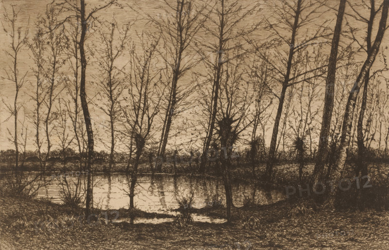 Landscape with pond surrounded by trees, print, Remarque with bird lower left in the margin., mark: 'Antwerpsche Etsers 1880', printmaker: Henri Rul, 1872 - 1913, paper, etching, intaglio printmaking technique, retroussage, height 240 mm x width 320 mm, pound, pool, A sepia-toned scene showing a stand of tall, thin trees with bare branches along the edge of a calm body of water, their trunks and twigs rendered in dark etched lines against a lighter sky, with reflections of the trunks and branches visible on the water surface and dense undergrowth and grasses along the shoreline.