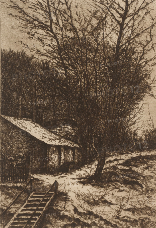 Winter landscape with a farm near a staircase, print, printmaker: Henri Rul, 1872 - 1913, paper, etching, intaglio printmaking technique, retroussage, height 317 mm x width 235 mm, farm or solitary house in landscape, winter landscape, landscape symbolizing winter (the four seasons of the year), flight of steps, A monochrome scene rendered with fine lines shows a rustic cabin partially obscured by tall bare trees and dense underbrush, a sloping roof covered with patches of snow, narrow steps with handrails leading down toward the foreground, a fence segment near the cabin, and a snowy, uneven ground dotted with grass and small shrubs under a sky filled with crosshatched shading.