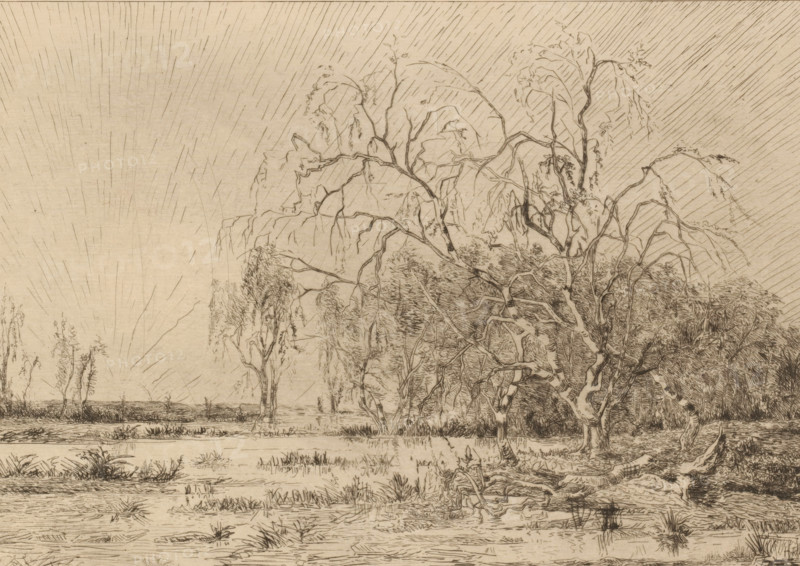 Swamp at sunrise, print, printmaker: Théodore Tscharner, 1836 - 1906, paper, etching, drypoint, intaglio printmaking technique, height 235 mm x width 290 mm, sunrise, swamps and polders, A sepia-toned pencil-style landscape shows a marshy foreground with clumps of grass and small pools of water, a twisted gnarled tree with exposed roots in the right foreground, and a stand of taller trees with drooping branches behind it; thin vertical lines fill the sky radiating outward from a low horizon, and distant trees line the far bank across the water.