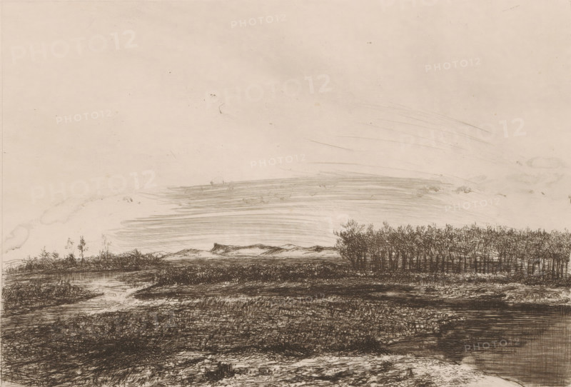 Landscape in the Kempen, print, printmaker: Jerôme Tuyttens (signed by artist), c. 1850 - 1883, paper, etching, drypoint, intaglio printmaking technique, height 230 mm x width 317 mm, A wide, pale scene rendered in fine dark lines shows a flat foreground of textured ground with low grasses and shallow water, leading back to a narrow band of clustered, leafless trees on the right and a few scattered taller stems on the left, beyond which low, rounded hills sit on the horizon; the sky above is mostly empty with soft horizontal strokes and faint smudges suggesting light cloud or atmospheric variation.