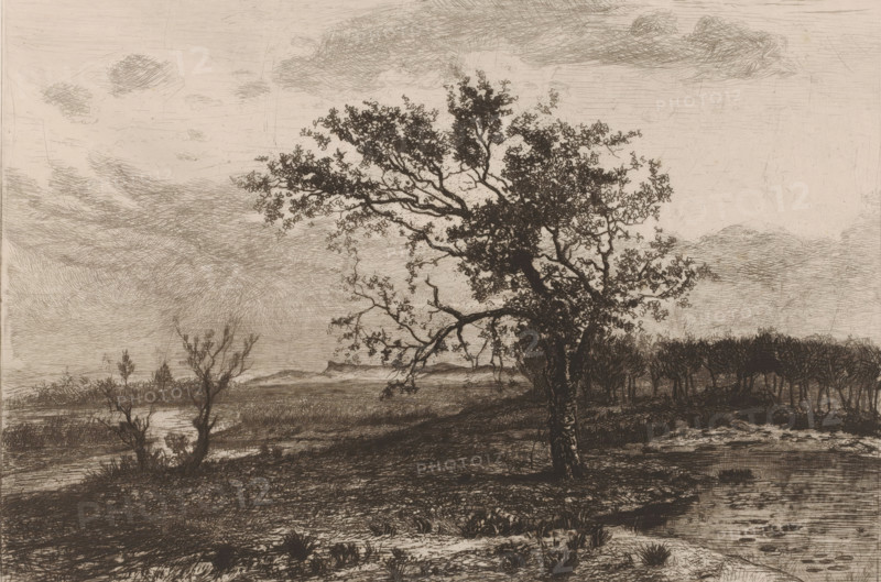 Landscape in the Kempen, print, annotation: 'Le s... dans la bruyere, tuytens', printmaker: Jerôme Tuyttens, c. 1850 - 1883, paper, etching, drypoint, intaglio printmaking technique, height 212 mm x width 291 mm, A monochrome etching of a landscape showing a large tree in the foreground with a textured trunk and a spreading canopy of small leaves, surrounded by low grass and marshy ground. In the midground there are smaller, sparse trees and shrubs, and a dense stand of trees forming a dark band across the horizon. A body of water or wetland is visible near the lower right, with rippled surface marks. The sky is filled with layered, crosshatched clouds and fine linework suggesting atmospheric shading. The overall image consists of intricate line etching with varied densities to define forms and textures.