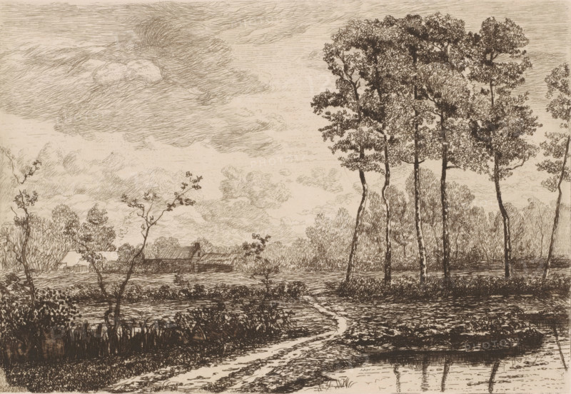 Landscape with row of birches, print, printmaker: Jerôme Tuyttens (signed by artist), c. 1850 - 1883, paper, etching, drypoint, retroussage, intaglio printmaking technique, height 201 mm x width 284 mm, A detailed sepia-toned ink landscape showing a foreground path winding across textured ground toward a body of reflective water, low vegetation and grasses along the shore, and slender tree trunks rising at the right with dense clusters of leaves rendered in fine lines; a line of taller trees and shrubs fills the midground, and a small group of simple buildings with pitched roofs sits near the waterline; the sky above is filled with layered, wispy clouds drawn with many short, flowing strokes.