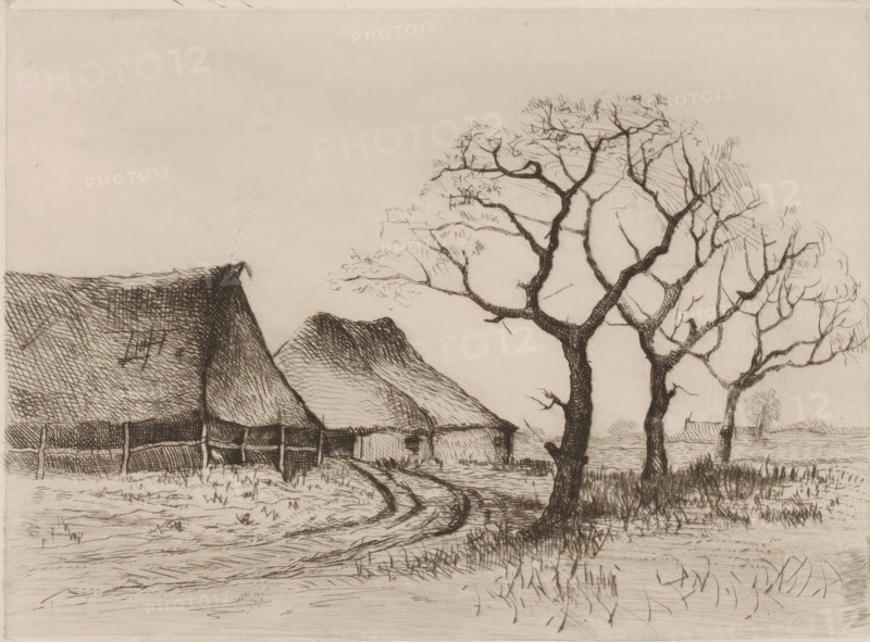Winter landscape with farmhouse and three trees, print, inscription: 'Premiere epreuve le 20 janvier, 1886 Anvers', printmaker: Frans de Vadder (signed by artist), 1886, paper, etching, intaglio printmaking technique, retroussage, height 175 mm x width 239 mm, Presumably a landscape in the Kempen., farm or solitary house in landscape, A landscape drawing showing a row of thatched-roof buildings on the left and a group of leafed trees with dark, textured trunks on the right, a dirt path with visible wheel ruts curving between the buildings and the trees, grasses and low vegetation in the foreground, and a wide open sky above, all rendered with fine, crosshatched pen or pencil lines.