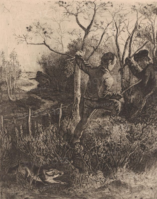 Landscape with hunter and two fighting boys, print, printmaker: Charles Verlat, 1834 - 1890, paper, chine collé, etching, drypoint, retroussage, aquatint, intaglio printmaking technique, height 245 mm x width 200 mm, landscapes, hunter, fighting, A detailed monochrome etching shows a wooded scene with dense undergrowth and slender trees with bare branches. Two boys are positioned near the center and right, one facing slightly away and leaning against a tree while the other, wearing a cap, holds a branch and looks toward the first boy. In the left background, a figure crouches near the edge of a clearing or water. A low wooden fence runs across the middle ground. In the lower left foreground, a fox lies partially concealed in the foliage with its head turned to the side. The sky area is mostly empty with faint texture, and the overall image is rendered with fine cross-hatched lines and varied shading.
