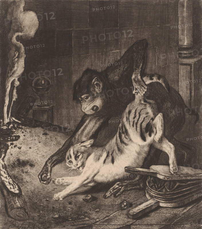 Monkey forces a cat to pull the chestnuts out of the fire, print, The monkey Bertrand persuades the cat Raton to pull chestnuts out of the fire for him. He promises him a share, but the monkey eats it all himself. Fable by Jean de La Fontaine 'The Monkey and the Cat'., printmaker: Charles Verlat, 1834 - 1890, paper, chine collé, etching, drypoint, retroussage, intaglio printmaking technique, height 255 mm x width 205 mm, cat, monkeys, apes, fables, fruits: chestnut, A dark, detailed etching shows two animals entangled on a floor: a cat with light fur and dark patches lies stretched with an expression of distress, its paws splayed and body twisted, while a larger dark-furred primate presses over it with one arm draped across the cat and the other reaching toward the floor, its face turned down and brows furrowed. The scene includes a rough textured floor scattered with small round objects and debris, a section of a carved wooden stool with curved legs and decorative bands, a cylindrical...
