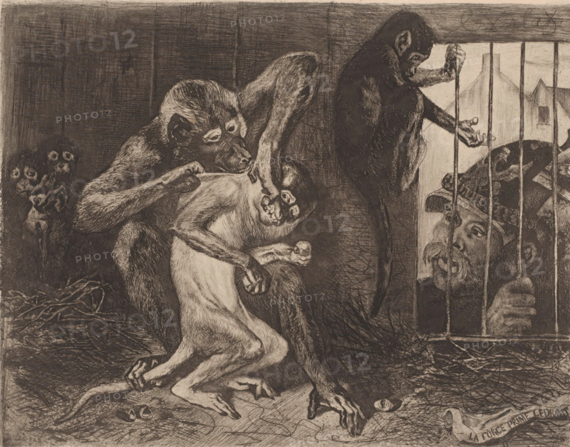 La force prime le droit, Otto von Bismarck by a cage with monkeys, print, The Prussian statesman Otto von Bismarck looks through the bars of a cage in which a monkey violently steals food from another monkey. In the foreground, a cloth bearing Von Bismarck's statement 'La force prime le droit'., printmaker: Charles Verlat, c. 1850 - 1890, Charles Verlat, printmaker, paper, chine collé, etching, drypoint, retroussage, intaglio printmaking technique, height 196 mm x width 247 mm, historical persons, official, civil servant, functionary (in general), monkeys, apes, A monochrome etching shows several primates clustered in a dim, textured interior; one large ape sits hunched in the foreground with detailed fur and musculature, holding and examining a smaller primate whose mouth is open and whose limbs hang limp. To the right a darker ape grips vertical bars and leans toward a barred opening where a human face wearing a hat peers in from outside, visible through the bars. In the left backgro...