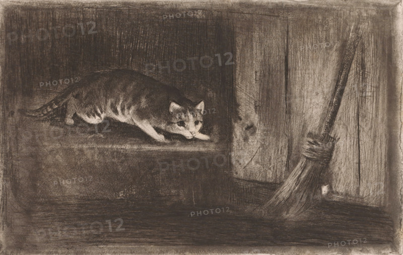 Cat and mouse, print, Cat stalks a mouse hiding behind a broom., printmaker: Charles Verlat, 1834 - 1890, paper, etching, intaglio printmaking technique, height 170 mm x width 268 mm, A crouching cat with striped fur rests on a horizontal surface inside a dark, textured interior, its head lowered and eyes looking forward. The scene shows rough wooden panels and a vertical beam to the right, with a broom leaning against the wood, its bristles and wrapped handle visible. The overall image is rendered in muted, monochrome tones with visible crosshatched shading and scratch-like marks across the surfaces.