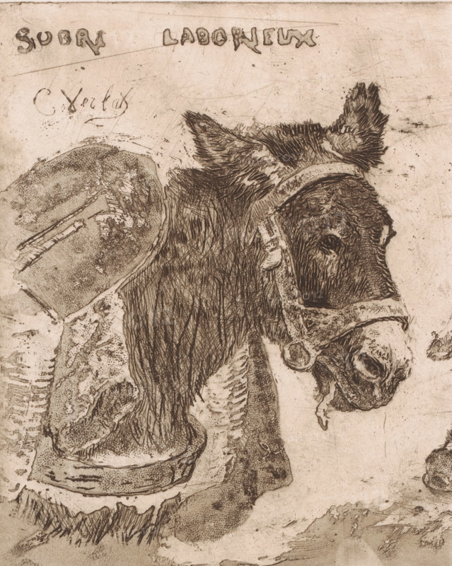 Donkey and pig, Sobre laborieux, print, A pack donkey and an eating pig, where the text above the animals calls them respectively sober and hardworking, and gluttonous and lazy. Cut sheet., printmaker: Charles Verlat, in or after 1880, paper, etching, drypoint, intaglio printmaking technique, aquatint, height 236 mm, width 192 mm, pig, ass, donkey, A sepia-toned etching of a donkey's head and upper body rendered with fine, crosshatched lines and textured shading, showing the donkey's ear tufts, bridle straps, eye, muzzle, and hanging bit; the surrounding surface displays rough scratches, stippled marks, and areas of worn texture with sketches of hooves and abstract shapes.