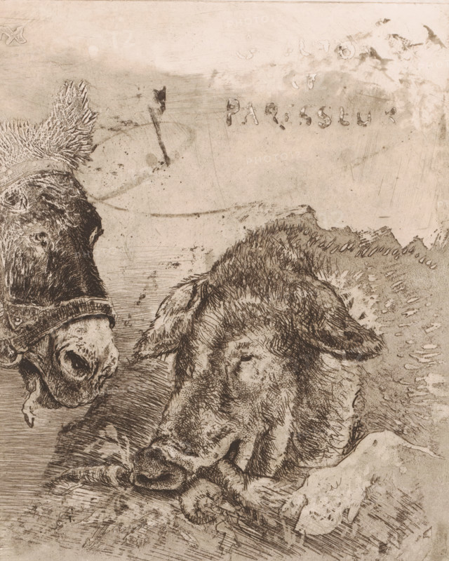 Glouton et paresseux, Donkey and pig, print, A pack donkey and an eating pig, in which the text above the animals calls them respectively sober and hardworking, and gluttonous and lazy. Cut sheet., printmaker: Charles Verlat, in or after 1880, paper, etching, drypoint, intaglio printmaking technique, aquatint, height 237 mm, width 192 mm, pig, ass, donkey, A sepia-toned etching showing the heads and upper bodies of two animals in close view, one on the left with a visible snout, bristly mane, and a harness around its head, and the other on the right reclining with a textured coat, closed eyes, and a relaxed expression; the background is a mottled, scratched surface with areas of darker smudging and linear etching marks, and the foreground contains rough, cross-hatched lines and textured shading suggesting ground beneath the animals.