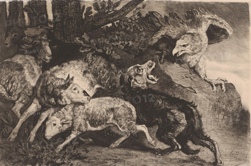 Sheep attacked by an eagle, print, printmaker: Charles Verlat, 1834 - 1890, paper, chine collé, etching, drypoint, retroussage, intaglio printmaking technique, height 188 mm x width 278 mm, sheep, predatory birds: eagle, A monochrome etching shows several sheep clustered together with textured wool and visible faces, one sheep in the foreground looking sideways, another sheep partially overlapping it, and additional sheep behind them; to the right a canine-like animal stands with its mouth open, fur rendered in dark lines, facing a large bird perched on a rock with detailed feathers and a hooked beak, the bird extending one taloned foot toward the edge of the rock; behind the animals are tree trunks and branches with leaves, and the ground beneath them is shaded with crosshatching and scratch marks.