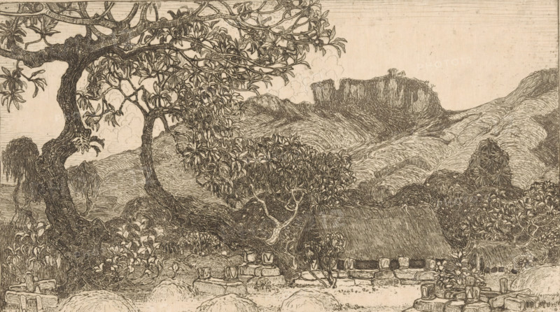 Cemetery south of Yogyakarta on Java, Native cemetery (original title), print, A cemetery with burial mounds and wooden and stone graves. Mountains in the background., printmaker: Wijnand Otto Jan Nieuwenkamp (signed by artist), 1899, 1913, paper, zinc etching, intaglio printmaking technique, etching with plate tone on zinc, height 144 mm x width 240 mm, cemetery, park-like burying ground, mountains (in tropical and sub-tropical regions), Java, Central Java, Yogyakarta, A detailed ink drawing of a landscape featuring a large, gnarled tree in the foreground with twisting branches and dense clusters of elongated leaves, under which smaller shrubs and flowering plants grow. A thatched-roof structure sits partially obscured by vegetation and low stone walls with rounded stones and carved blocks visible near the base. Rolling hills with textured striations rise behind the middle ground, leading to a flat-topped rocky plateau on the horizon with vertical cliff faces. Clouds are suggested abo...