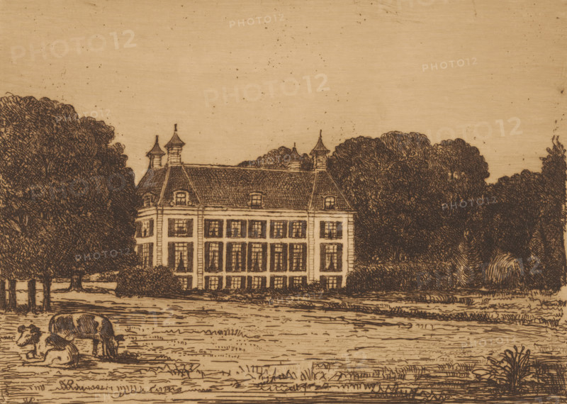 View from a meadow on Waterland Estate, print, printmaker: Jonkheer Barthold Willem Floris van Riemsdijk, 1914, paper, etching, drypoint, intaglio printmaking technique, etching and drypoint with plate tone, height 141 mm x width 191 mm, rural housing, eg country-house, villa, cottage, cow, Waterland, A detailed monochrome line drawing shows a large multi-story building with a steep tiled roof and small pointed turrets, set behind a manicured lawn; rows of tall windows with shutters cover the building facade, and trees with dense foliage flank both sides, creating a backdrop; in the foreground, grazing animals rest and stand on the grassy field, and clusters of low bushes and plants dot the landscape beneath a sky with faint speckled markings.