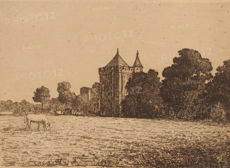 View of Brederode Castle seen from a meadow, print, printmaker: Jonkheer Barthold Willem Floris van Riemsdijk, Netherlands, 1865 - 1918, paper, etching, intaglio printmaking technique, etching with plate tone, height 140 mm x width 191 mm, horse, castle, Santpoort, Ruins of Brederode Castle, A sepia-toned ink drawing showing a grassy foreground with a horse grazing near the left edge, a wide open field stretching toward a cluster of tall trees on the right, and a stone tower with conical roofs partially obscured by foliage near the center, with additional trees and low shrubs surrounding the structure and a mostly clear sky above.