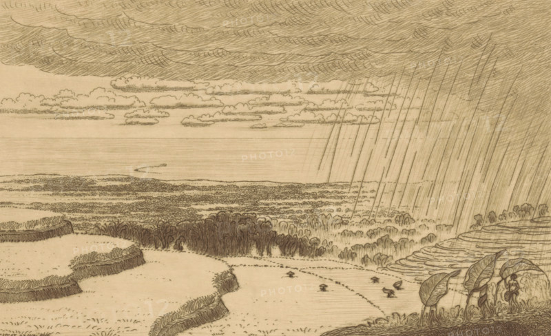 A rain shower (original title), Rain shower over the rice fields near Gitgit on Bali, print, In the background the Java Sea., printmaker: Wijnand Otto Jan Nieuwenkamp (signed by artist), 1908-06, paper, etching, drypoint, intaglio printmaking technique, drypoint and plate tone on copper, proof print, height 158 mm x width 237 mm, coast, sawahs, rice paddies, downpour, rain shower, Bali, Gitgit, Java Sea, A wide pencil landscape showing a distant horizon over calm water beneath layered clouds, with long diagonal rain strokes falling from darker storm clouds on the right; below the sky, textured fields and marshes extend toward the water, with clusters of densely sketched trees and low hedgerows, curved terraces and raised grassy banks in the foreground, a few small birdlike figures on the shore, and large detailed leaves and plant forms at the lower right merging into the landscape.