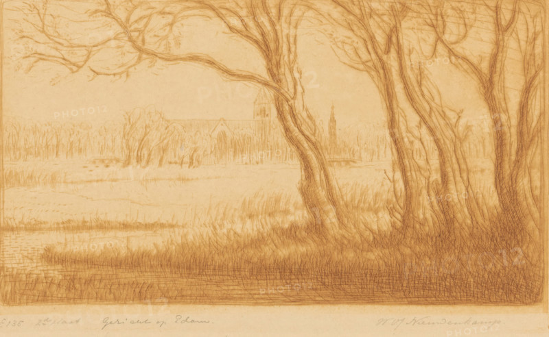 View of Edam (original title), print, Trees by a lake north of Edam. In the background the silhouette of the Grote or Sint-Nicolaaskerk and the Speeltoren., printmaker: Wijnand Otto Jan Nieuwenkamp (signed by artist), 1912-10, 1917-08-02, paper, drypoint, intaglio printmaking technique, drypoint and plate tone in brown, height 140 mm x width 230 mm, lake, prospect of city, town panorama, silhouette of city, trees, Edam, A sepia-toned pencil sketch of a riverside landscape with tall, textured tree trunks in the foreground and delicate, arching branches extending across the top, a grassy riverbank with reeds and crosshatched water at the bottom, a stretch of meadow and clusters of slender trees in the middle ground, and the faint outline of a large building with a steep roof and a distant spire visible through the trees in the background.