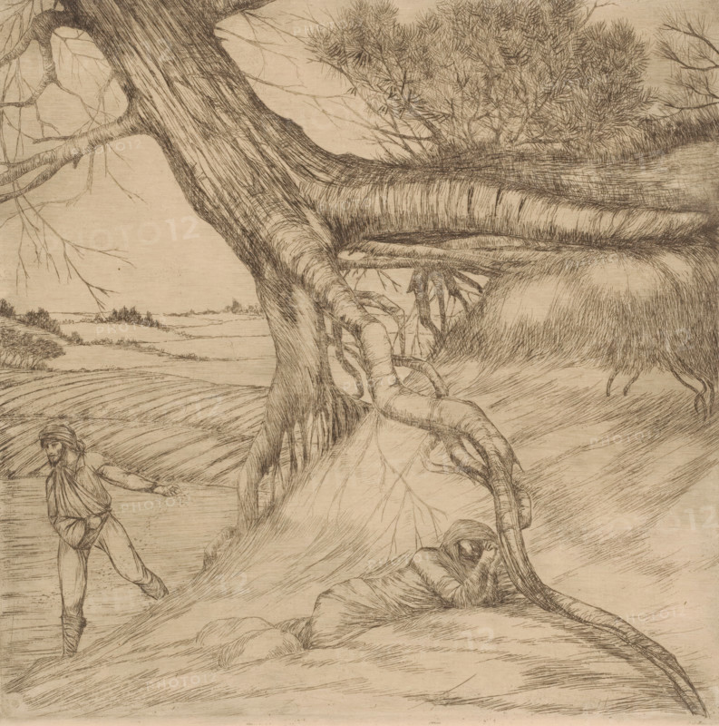 Sower and reclining figure with folded hands in a landscape, print, printmaker: Eugène Joors (signed by artist), 1860 - 1910, paper, etching, drypoint, intaglio printmaking technique, height 217 mm x width 216 mm, sowing, plowed field, A detailed pen-and-ink landscape shows a large gnarled tree with thick twisting trunk and exposed roots occupying much of the scene, its branches stretching outward with fine twigs and a dense cluster of thin-leaved foliage near the top right; a figure stands to the left with an outstretched arm and loose clothing and boots, and another figure sits curled against the tree roots with arms wrapped around knees and head bowed; the ground is textured with sweeping lines suggesting furrows or gentle slopes, and distant low vegetation and a horizon are visible through the branches.