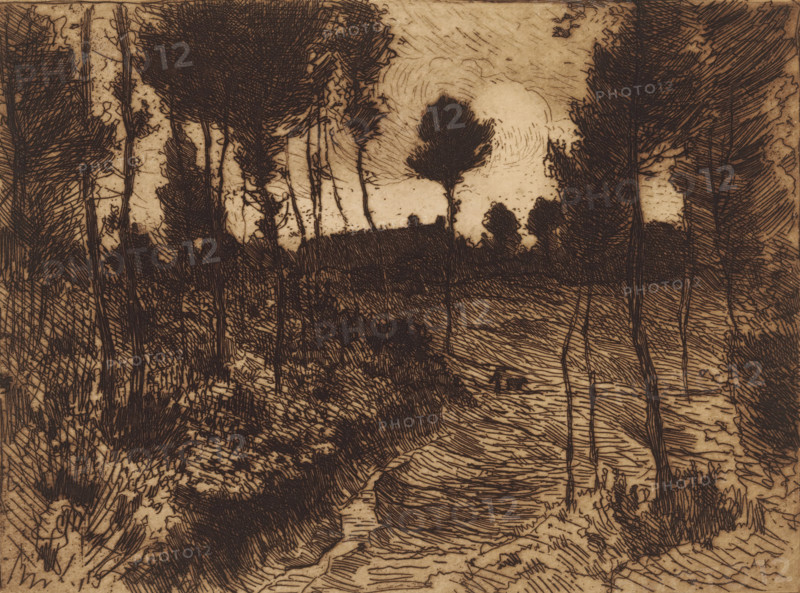 Forest path at evening, print, printmaker: Anton L. Koster, 1869 - 1924, paper, etching, intaglio printmaking technique, height 156 mm x width 206 mm, forest path or lane, evening, Geulhem, A sepia-toned ink drawing of a landscape showing a winding path or stream framed by tall slender trees with dense canopies, layered foliage, and textured grasses; the foreground features detailed, crosshatched vegetation and rough ground lines, while the midground opens to a gently sloping meadow with scattered bushes and a solitary tree silhouetted against a lightly textured sky, and the background contains distant treetops and soft, swirling cloud-like marks.