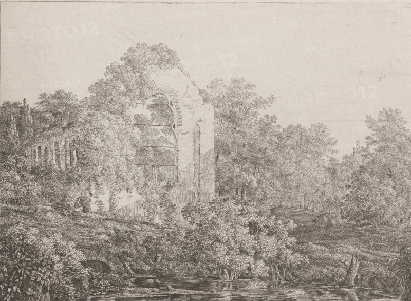 View of the ruins of De Haar Castle, print, printmaker: Adriaan Jacob Willem van Dielen, 1810, paper, chine collé, etching, height 172 mm x width 230 mm, landscape with ruins, ruin of a dwelling, house, castle, Haarzuilens, De Haar Castle, A detailed monochrome drawing shows a ruined stone structure partially overgrown with dense foliage, with arched openings visible through the leaves; surrounding the ruin are many trees and bushes rendered with fine lines, and a path or clearing leads past the vegetation toward the right side of the scene; in the foreground there is a small body of water with reflections and a fallen log or beam across it, and the sky above is mostly empty with subtle paper texture.