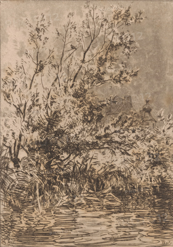 Willows by the water, behind them De Cannenburgh Castle, Willows and castle (original title), print, printmaker: Willem Bastiaan Tholen, 1870 - 1931, paper, etching, aquatint, intaglio printmaking technique, height 199 mm x width 140 mm, castle, trees: willow, Vaassen, De Cannenburgh Castle, A sepia-toned ink drawing showing dense foliage and tall, slender tree branches reaching upward from the left and center, their leaves rendered with short, feathery strokes; a cluster of varied plants and grasses fills the lower and middle foreground with layered, textured lines; a body of water occupies the bottom area with rippling, horizontal strokes suggesting reflections; partially obscured by the foliage in the middle right, a building with a pitched roof and an onion-shaped dome is visible, its outlines drawn with fine hatch marks; the sky area is depicted with a mottled wash and sparse linear marks.
