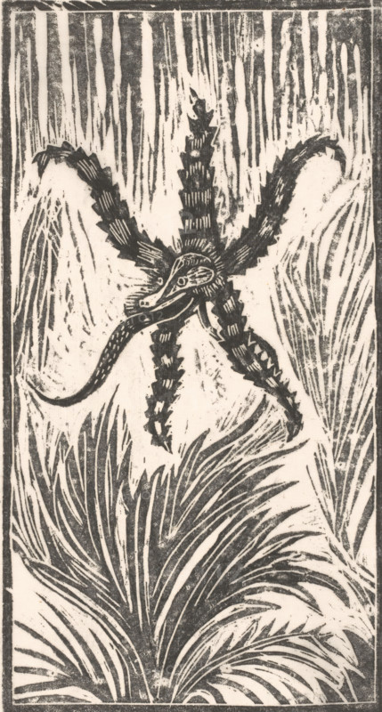 Sea monster, print, printmaker: Janus de Winter (signed by artist), 1892 - 1938, paper, Japanese paper (handmade paper), woodcut, height 308 mm x width 169 mm, fabulous animals (sometimes wrongly called 'grotesques'), 'Mostri' (Ripa), surrealia, surrealistic representations, A vertical monochrome print shows a central star-shaped plant with textured, serrated arms radiating outward and a coiled, elongated element looped around its center, set against a background of tall, linear vertical marks and layered, fan-shaped foliage at the bottom and sides, all enclosed by a thin rectangular border.