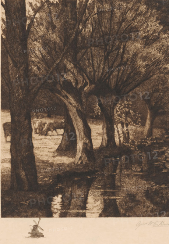 By the stream, Meadow by the water, print, Cows stand in the meadow on the left and trees stand by the water., printmaker: Gerarda Wilhelmina ten Hoet (signed by artist), Netherlands, 1867 - 1939, paper, etching, intaglio printmaking technique, height 455 mm x width 367 mm, landscapes in the temperate zone, trees, cow, spring, source of river or stream, A sepia-toned etching showing a wooded scene with several tall, gnarled trees in the foreground and middle ground, their trunks and branches rendered with dense crosshatching, a grassy clearing visible through the trunks where a few grazing cows appear, and a dark reflective water surface in the lower portion that mirrors the tree trunks and light patches above, with a small sketch of a windmill and a pale blank area along the bottom edge.