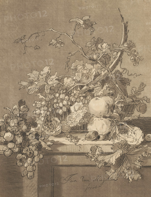 Basket of fruit, print, The print is loose in an album, see page H. 66., printmaker: Bernhard Schreuder, Netherlands, after drawing by Jan van Huysum, 1767 - 1780, paper, print drawing, etching, transfer print, roulette, transfer print and roulette, height 207 mm x width 158 mm, fruit, A detailed pencil and ink drawing of a still life showing clusters of grapes cascading over the edge of a surface, leafy vines twisting and curling across the composition, round fruit resting among textured leaves, a woven basket partially visible, sculpted branches and stems entwined with foliage, varied shading that defines the contours of the fruit and leaves, and a flat horizontal ledge beneath the arrangement.