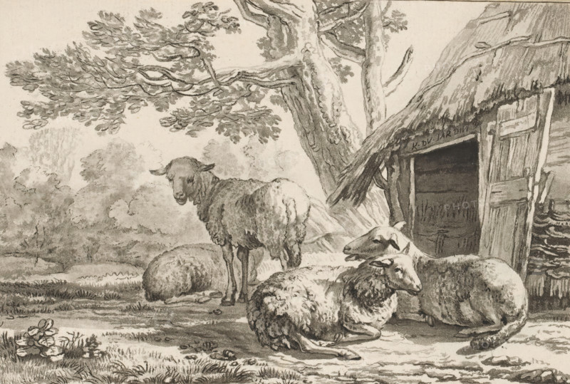 Sheepfold, print, Four sheep by the open sheepfold. The print is loose in an album, see page 44., printmaker: Cornelis Brouwer, after drawing by Karel du Jardin, supervision: Cornelis Ploos van Amstel, Amsterdam, 1781 - 1787, paper, print drawing, etching, stencil, etching and stencil, height 118 mm x width 173 mm, sheep, A group of sheep occupy a shaded foreground near a rustic shelter and a large tree, with one sheep standing and others lying or resting close together; detailed wool textures and relaxed postures are visible. The shelter has a rough wooden door ajar and weathered boards, and the large tree beside it shows textured bark and spreading branches with clusters of leaves. In the background there are soft, tree-like shapes forming a distant landscape and a grassy area with small plants and flowers at the lower edge. The scene is rendered in monochrome with varied shading and fine line work.