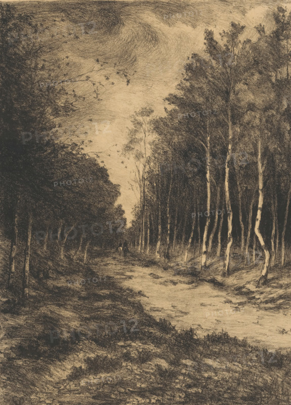 Forest path with two riders, Berkenlaan, print, inscription: '1.-', printmaker: Gerarda Wilhelmina ten Hoet (signed by artist), Netherlands, 1867 - 1939, paper, lithography, tone lithography in black with tone block in beige, height 624 mm x width 486 mm, riding a horse, ass, or mule, rider, horseman, forest path or lane, trees, A charcoal-toned landscape drawing showing a narrow dirt path leading into a dense stand of tall trees with slender trunks and textured foliage, darker masses of trees flanking both sides and a lighter sky visible above with soft cloud-like shading, a small indistinct figure seated or standing along the path in the mid-distance, and foreground grasses and undergrowth rendered with rough, crosshatched strokes.