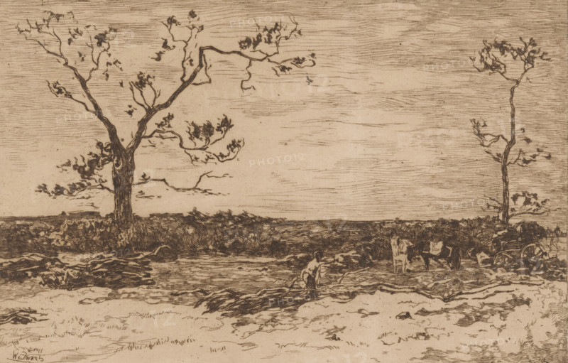 Landscape with bare trees and woodcutters, Loading coppice (original title), print, printmaker: Willem de Zwart (signed by artist), c. 1896, paper, etching, intaglio printmaking technique, height 200 mm x width 300 mm, trees, (farm) wagon, freight wagon, cart, forester, A monochrome sketch showing a flat landscape with two tall, slender trees, one on the left with a thicker trunk and spreading branches and one on the right more sparse and straight; a horizon line of low vegetation runs across the middle, and the sky is filled with horizontal, textured lines. In the foreground a figure sits or crouches near the ground between rough, dark patches of vegetation, and to the right of the figure a cartwheel and a partially obscured cart or broken machinery lie among scattered debris and small plants. The overall drawing uses fine, linear strokes and hatching to render trunks, branches, grass, and ground textures.