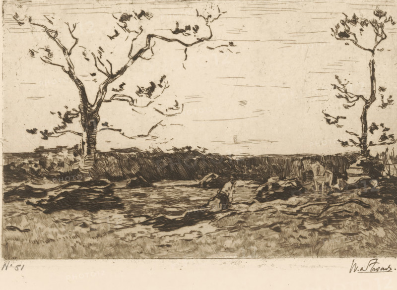 Loading Coppice (original title), Landscape with Bare Trees and Woodcutters, print, printmaker: Willem de Zwart (signed by artist), c. 1896, paper, etching, intaglio printmaking technique, height 125 mm x width 186 mm, trees, (farm) wagon, freight wagon, cart, forester, A sepia-toned etching shows a flat landscape with two prominent trees, one on the left with a thick trunk and spreading branches and one on the right with a slimmer trunk and sparse foliage, a dark horizontal band of vegetation or hedge crosses the middle ground, and the foreground contains textured ground with rocks and rough brush strokes suggesting uneven terrain; a small figure bent over appears near the center-right foreground and another small seated figure is near the right tree, while the sky above is mostly empty with a few horizontal scratch-like marks.