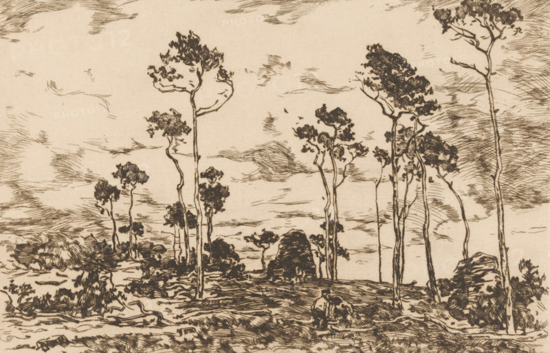 Loading Coppice (original title), Landscape with Bare Trees and Woodcutters, print, printmaker: Willem de Zwart (signed by artist), c. 1896, paper, etching, intaglio printmaking technique, height 160 mm x width 239 mm, trees, (farm) wagon, freight wagon, cart, forester, An ink drawing on a light beige background showing a sparse landscape of tall, slender trees with irregular, leafy canopies, scattered shorter shrubs and bushes, a ground rendered with short, textured strokes, and a sky filled with wispy, horizontal hatch marks; the trees vary in height and have thin, sometimes curved trunks, and the composition emphasizes vertical tree forms against the horizontally hatched sky.