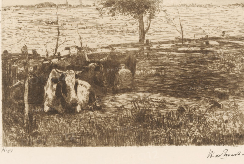Milking Farmer (original title), Cows in a Meadow with a Milking Farmer, print, printmaker: Willem de Zwart (signed by artist), c. 1886 - c. 1887, paper, etching, drypoint, intaglio printmaking technique, height 117 mm x width 192 mm, Print appeared in 1889 as part of the annual publication of the 'Portefeuille der Nederlandsche Etsclub'., meadow, pasture, milking, cow, A sepia-toned etching showing a pastoral waterside scene with several cows resting and standing in the foreground near a muddy, grassy bank, a wooden fence and posts running behind them, a tree with a leafy canopy near the center-right, and a wide expanse of rippled water stretching to a distant low shoreline with faint landforms on the horizon.