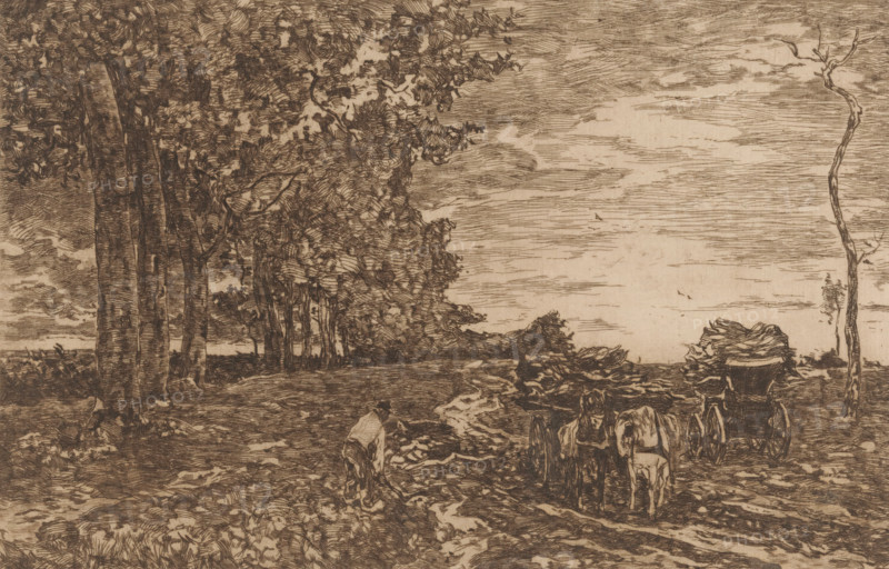 Loading Coppice (original title), Landscape with man and two carts with coppice, print, printmaker: Willem de Zwart (signed by artist), c. 1896, paper, etching, drypoint, intaglio printmaking technique, height 199 mm x width 300 mm, forest, wood, (farm) wagon, freight wagon, cart, forester, A monochrome etched landscape shows a row of tall leafy trees on the left extending toward the center, with a sky of horizontal etched lines occupying the upper right; a narrow dirt path runs along the foreground under the trees where a figure is bent over near scattered objects; to the right of the figure two horses stand harnessed to a carriage that faces away from the viewer, and behind them a tied load sits atop the carriage; a thin, bare tree trunk rises near the right edge, and low vegetation and textured ground fill the lower area.