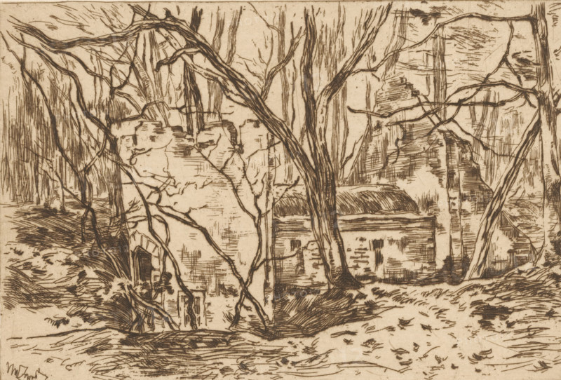 Ruins, seen from the side (Lage Vuursche) (original title), Ruins in a forest, print, printmaker: Willem de Zwart (signed by artist), c. 1896, paper, etching, intaglio printmaking technique, height 126 mm x width 182 mm, forest, wood, landscape with ruins, Lage Vuursche, A sepia-toned etching shows a wooded scene with numerous bare, twisting tree trunks and branches filling the foreground and middle ground, their dark linear strokes contrasting with the lighter background. Behind the trees there are rough stone structures partially obscured, including a building with a curved roofline and rectilinear wall surfaces marked by engraved crosshatching. In the left middle area a stone archway is visible amid tangled roots and vegetation, and the ground is rendered with horizontal and diagonal hatch marks suggesting uneven terrain and scattered leaves. The composition emphasizes meandering branches that arch across the scene and a dense cluster of vertical tree trunks toward the center, while...
